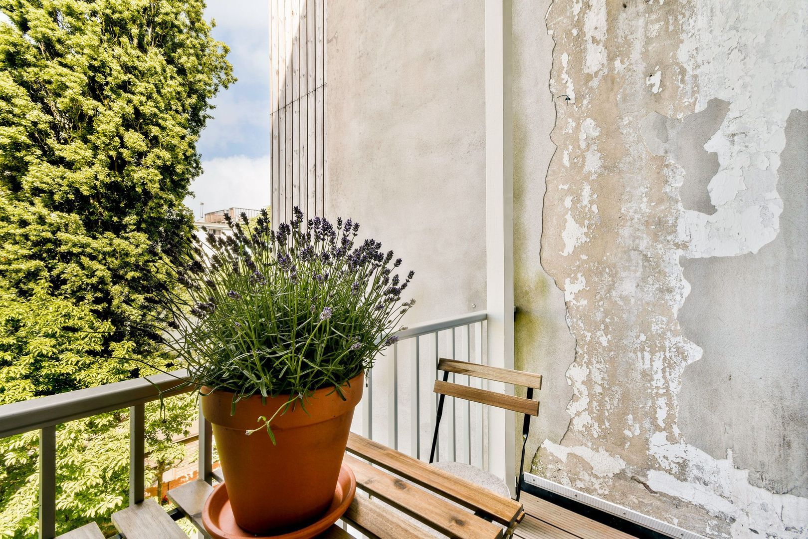 Overtoom 246 2, Amsterdam foto-15