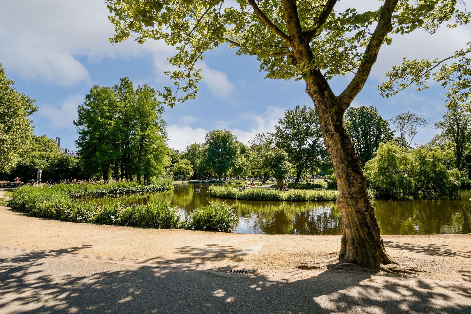 Overtoom 246 2, Amsterdam foto-24