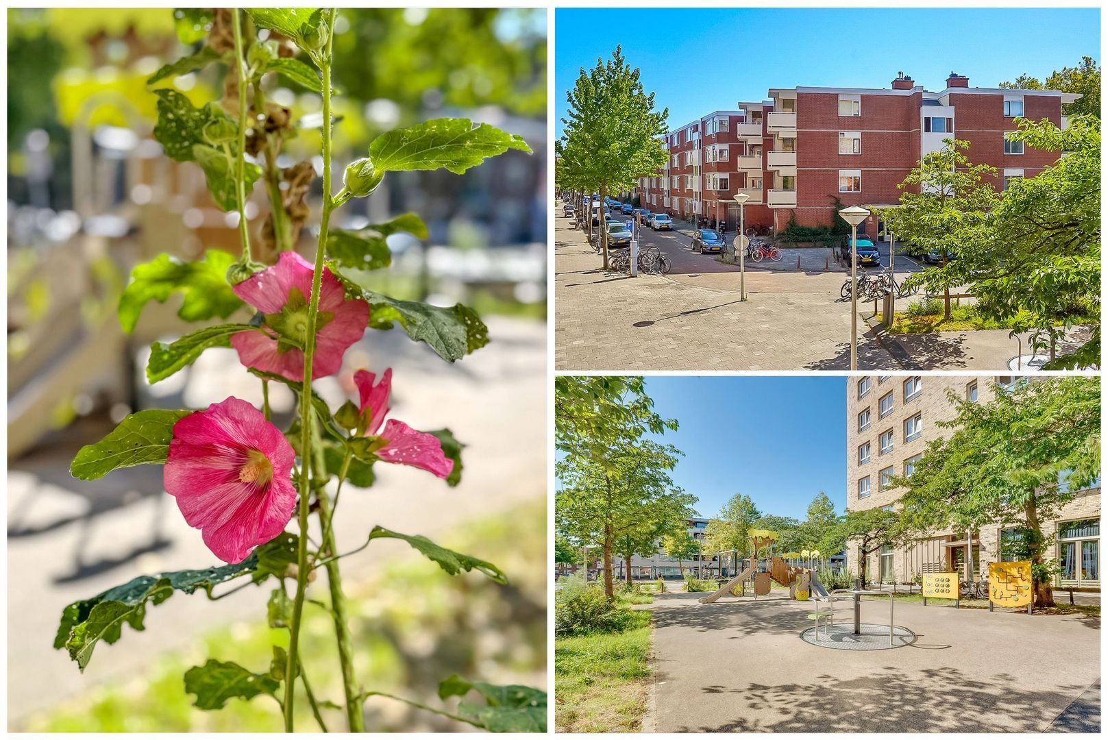 Riouwstraat 14, Amsterdam foto-5