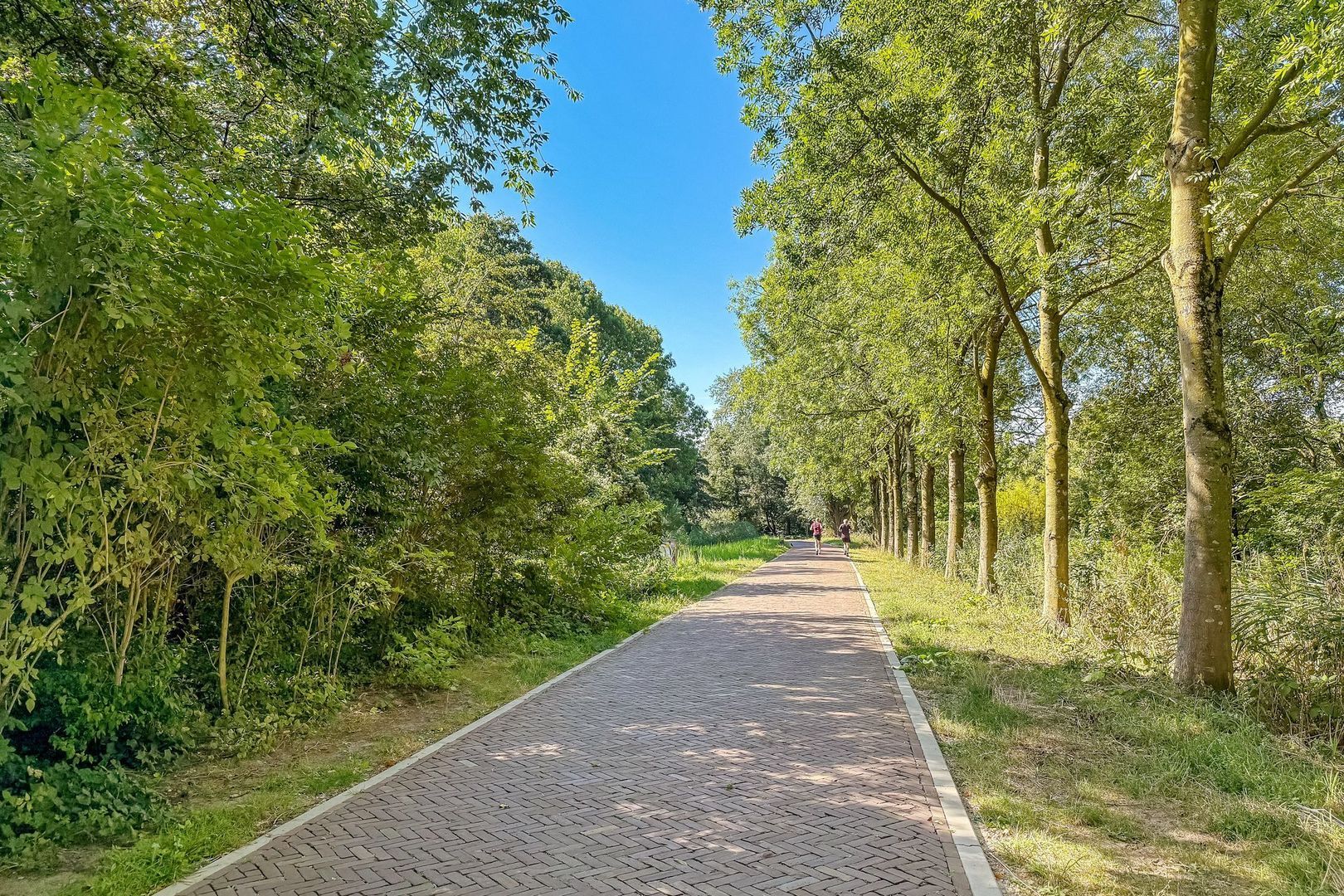 Riouwstraat 14, Amsterdam foto-29