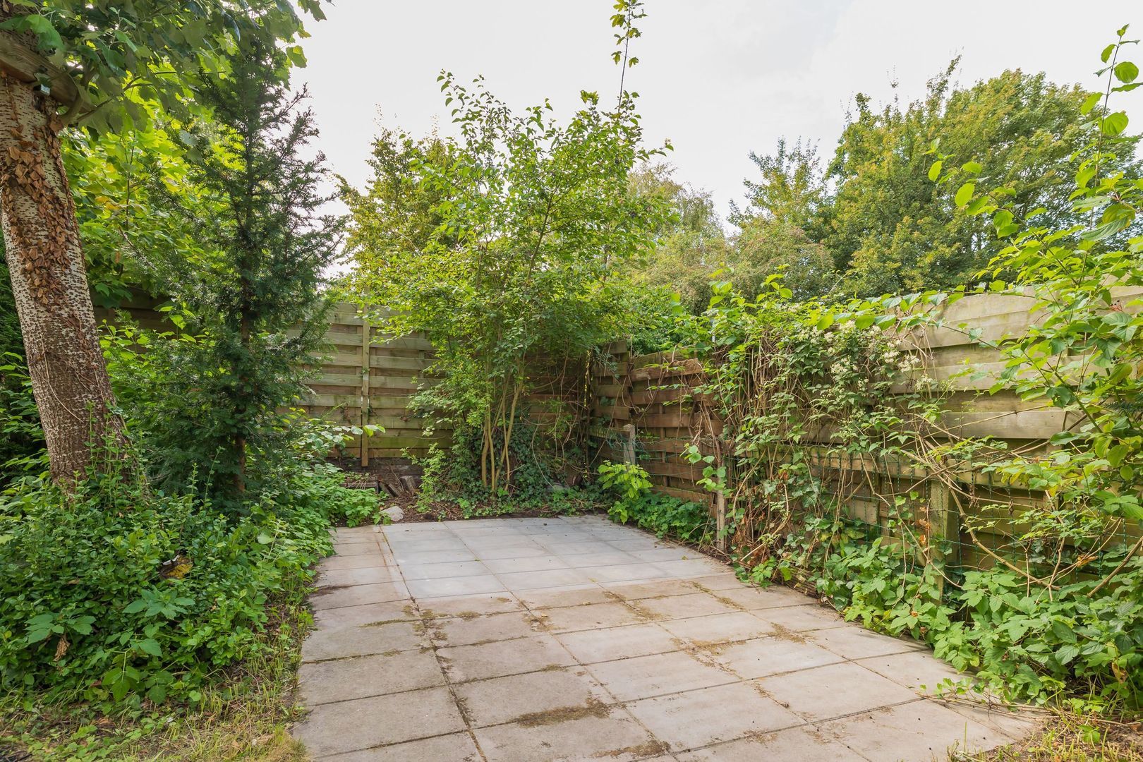 Amsterdamseweg 211, Amstelveen foto-28