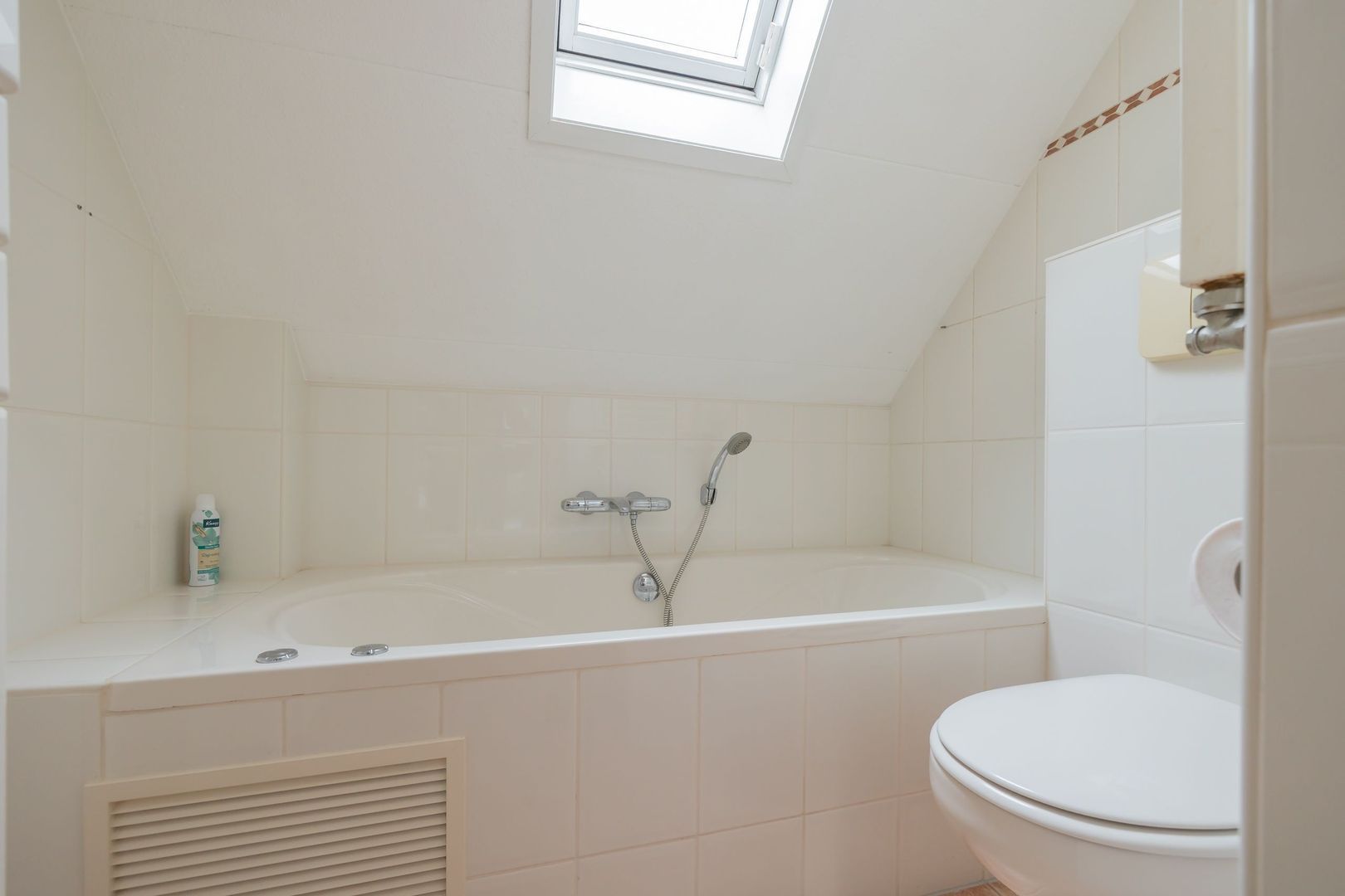 Watersnip 7, Ilpendam foto-27