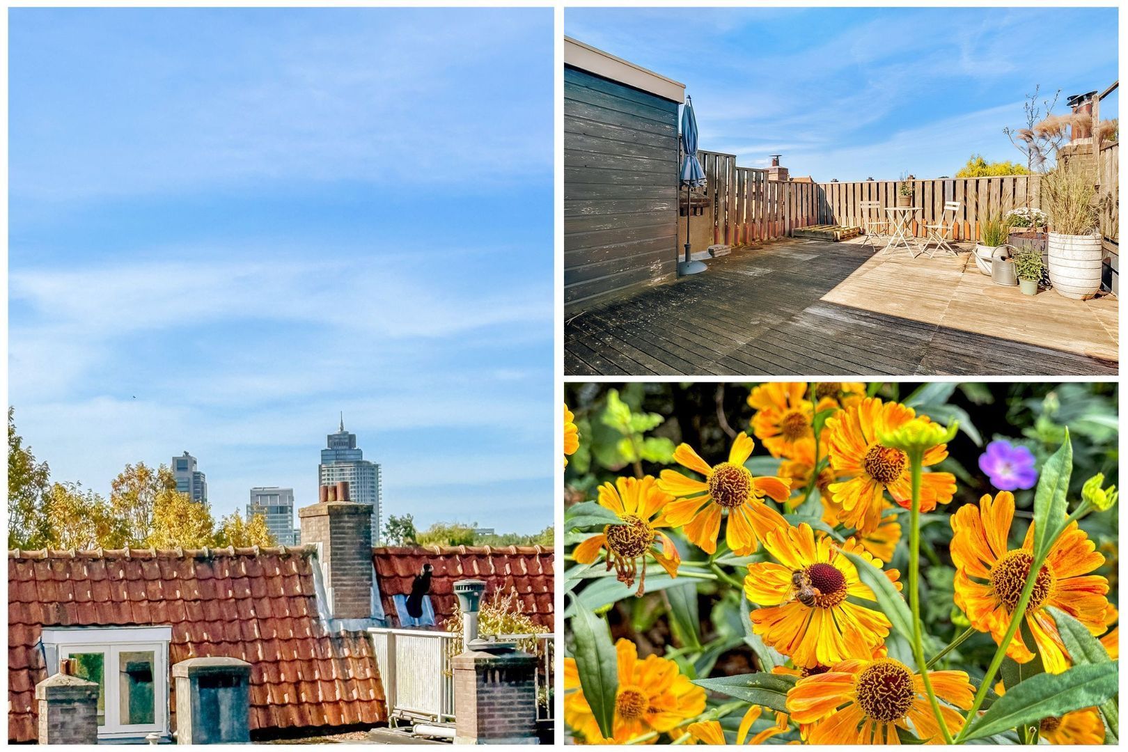 Johannes van der Waalsstraat 9 1, Amsterdam foto-29