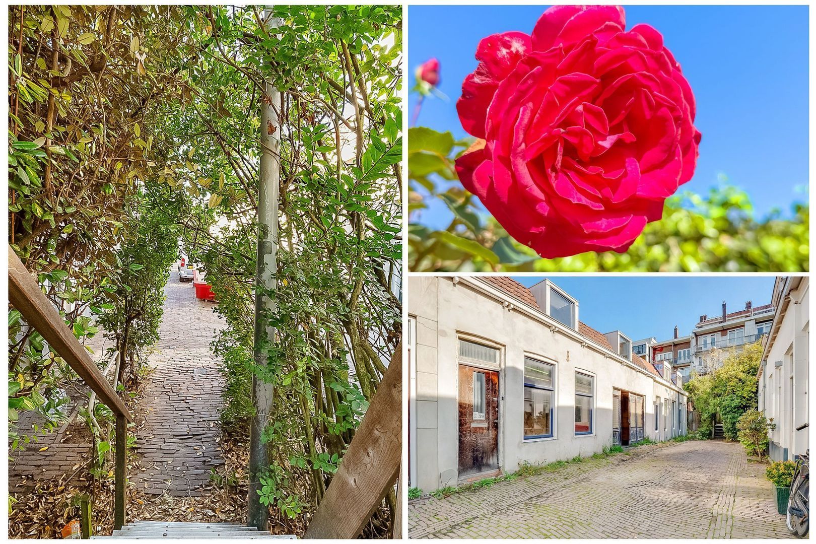 Linnaeusdwarsstraat 39, Amsterdam foto-11