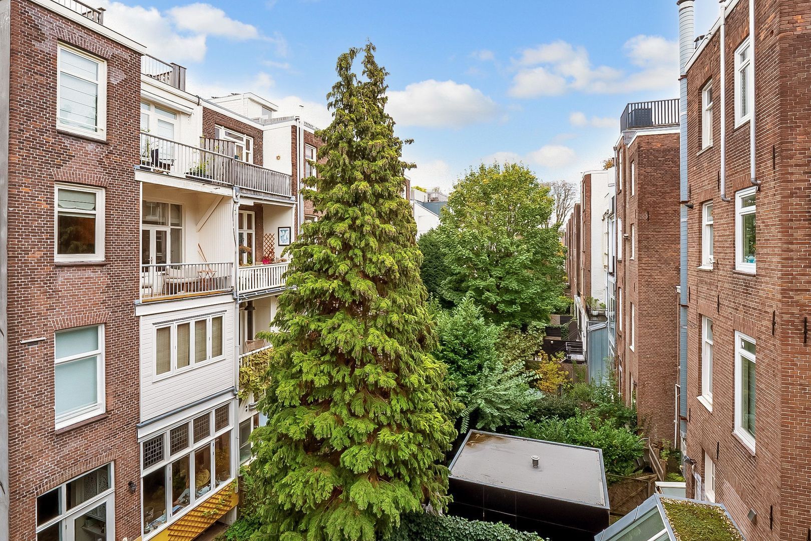 Cornelis Schuytstraat 41 2, Amsterdam foto-18