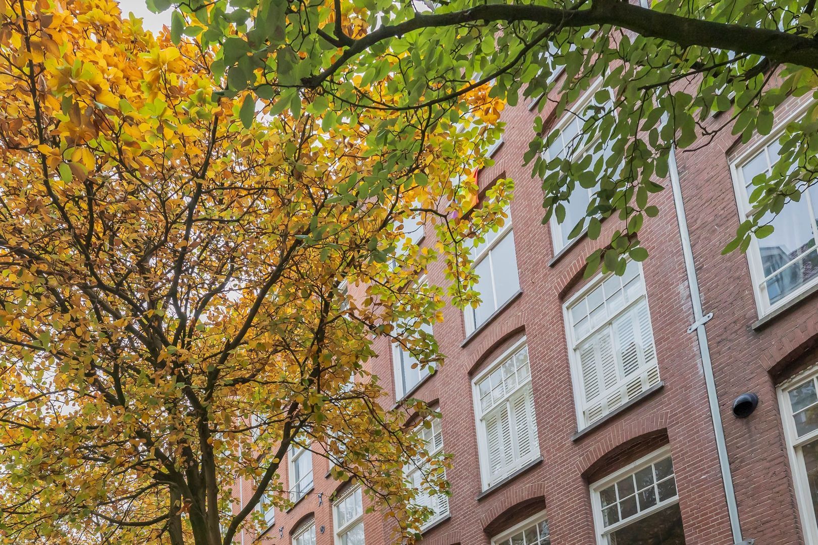 Van Ostadestraat 146 3V, Amsterdam foto-3