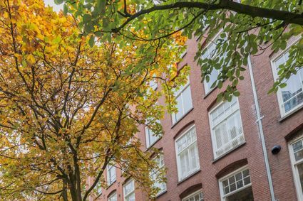 Van Ostadestraat 146 3V, Amsterdam