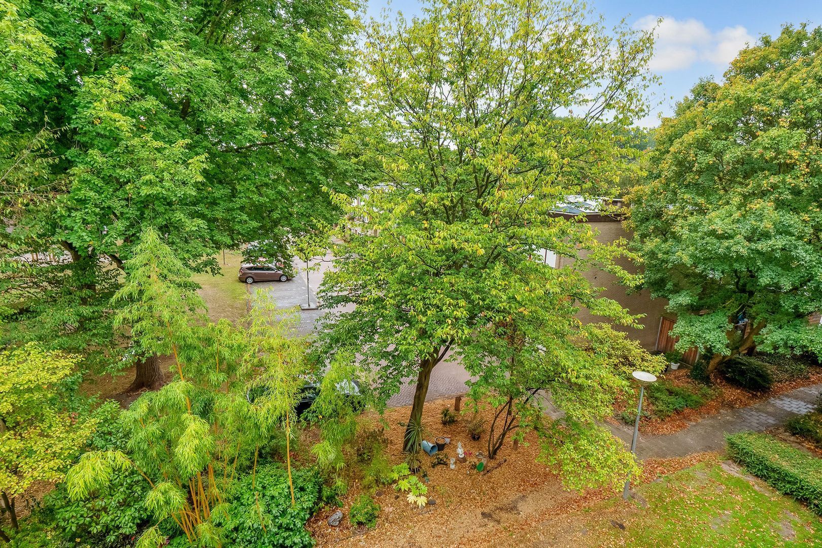 Amerbos 555, Amsterdam foto-16