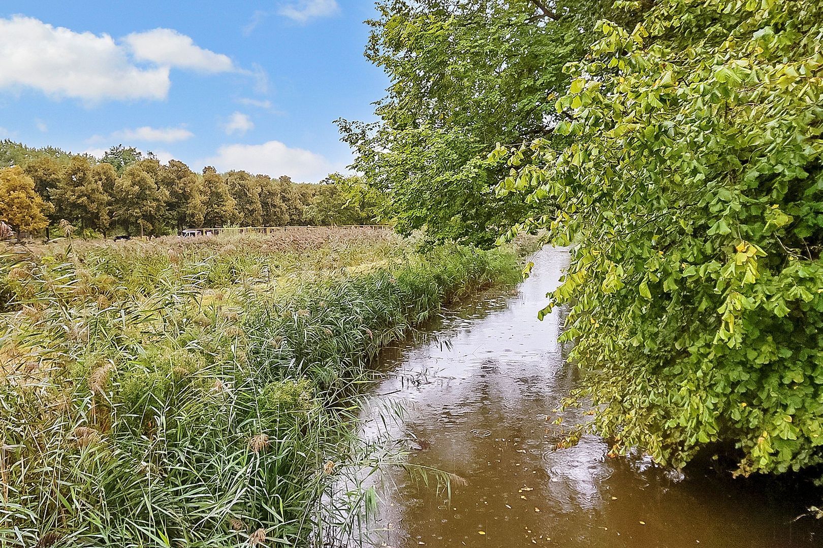 Amerbos 555, Amsterdam foto-26