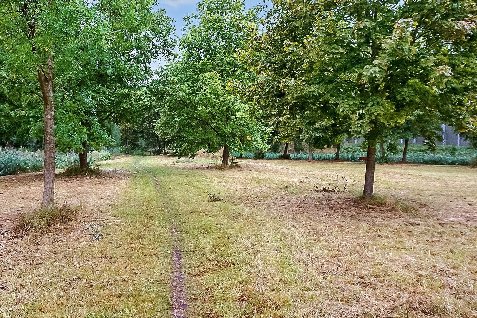 Amerbos 555, Amsterdam foto-27