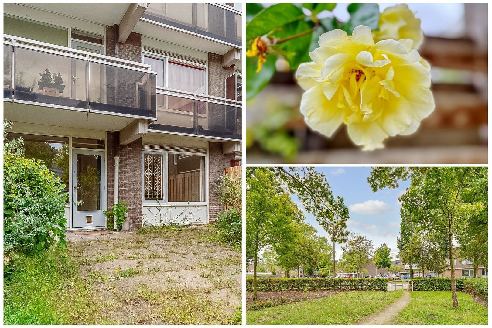 Griend 21, Diemen foto-26