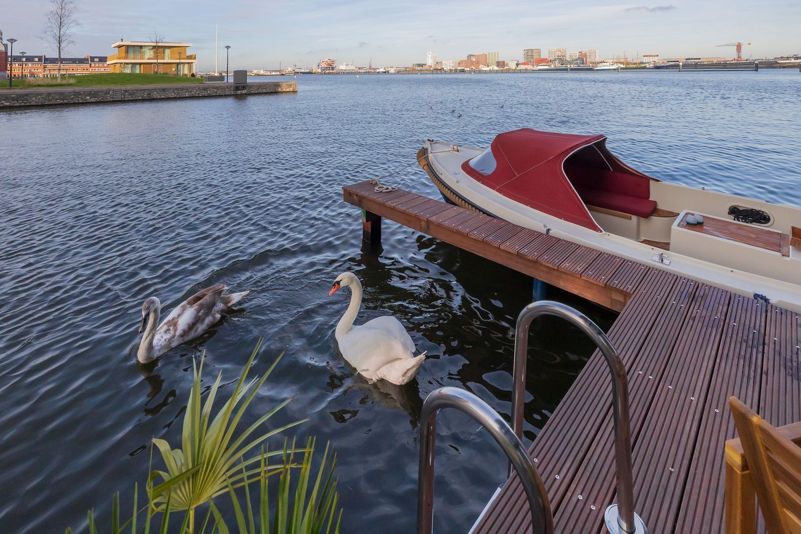 Libau-eiland 113, Amsterdam foto-0