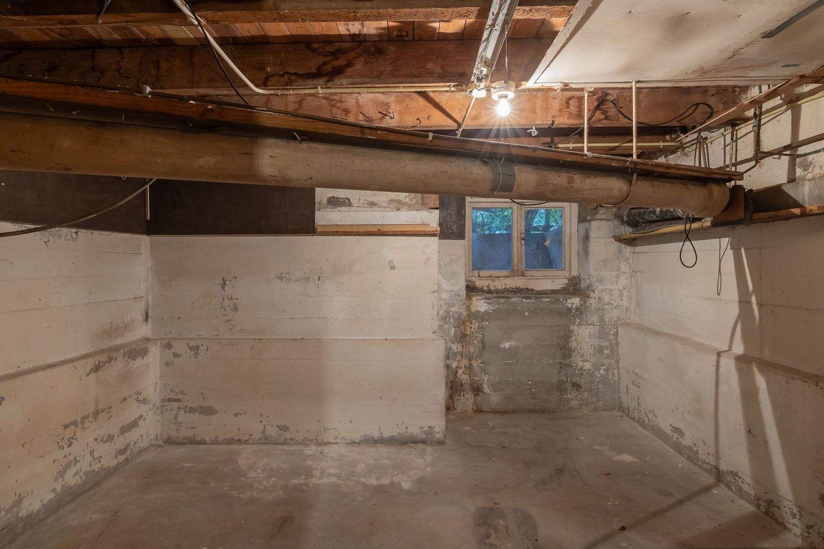 Witte de Withstraat 109 H, Amsterdam foto-20