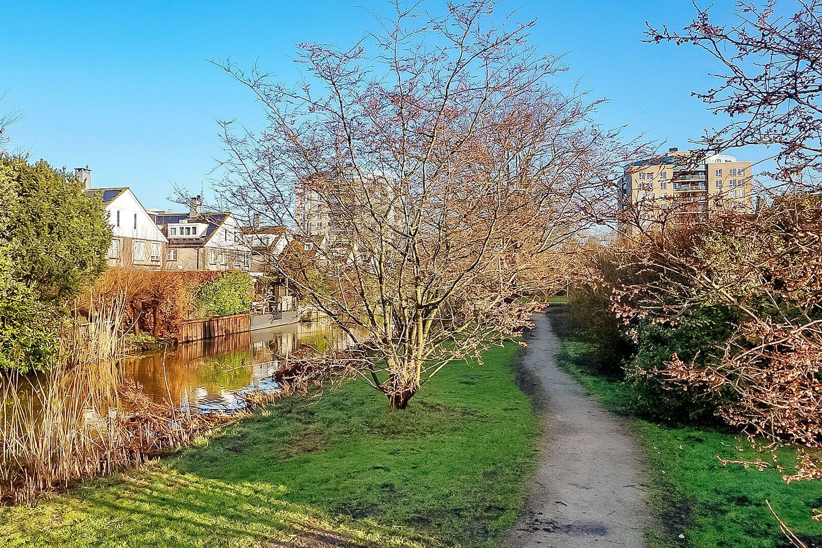 Rietgors 19, Diemen foto-40