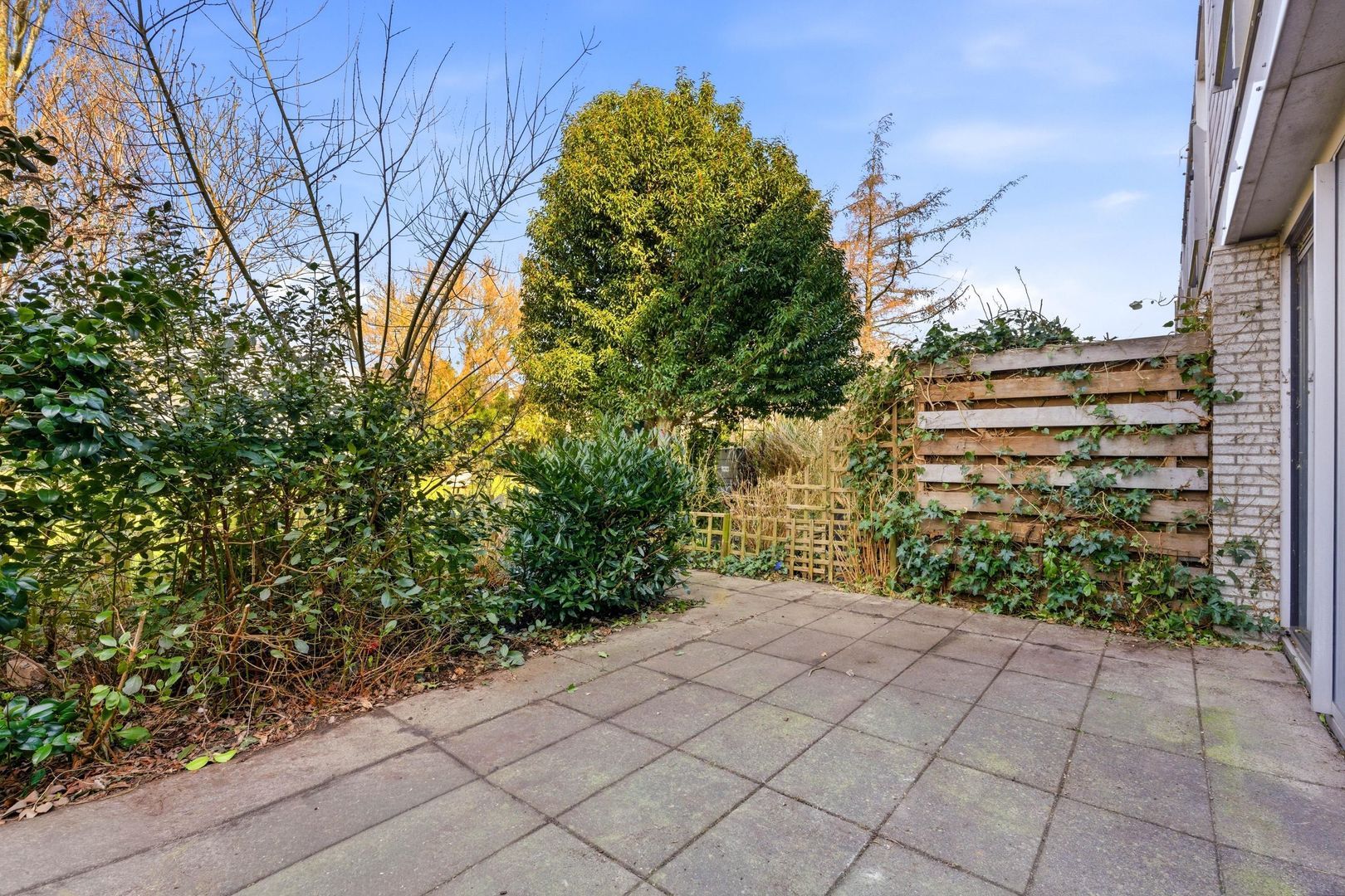 Apollovlinder 9, Diemen foto-10