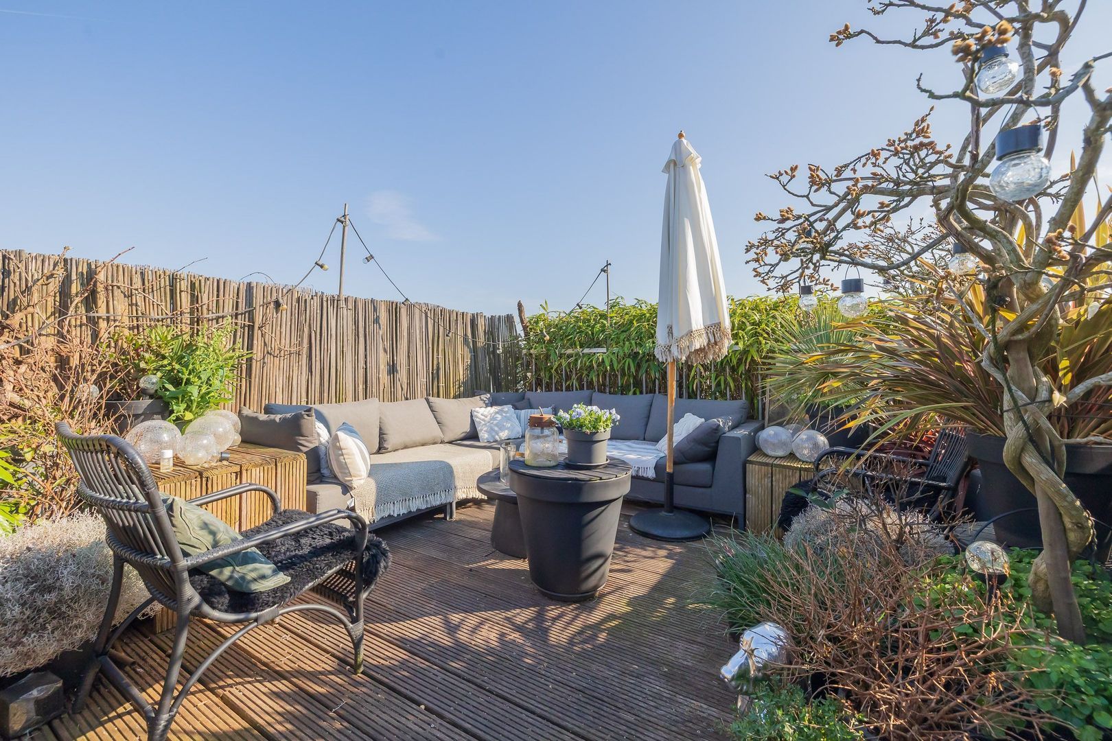 Van Hogendorpstraat 153 3, Amsterdam foto-2