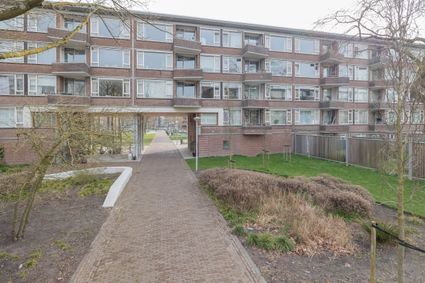 Elisabeth Boddaertstraat 38 2, Amsterdam