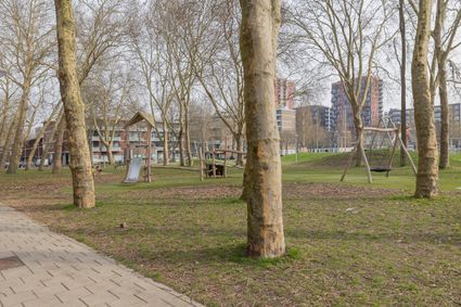 Elisabeth Boddaertstraat 38 2, Amsterdam