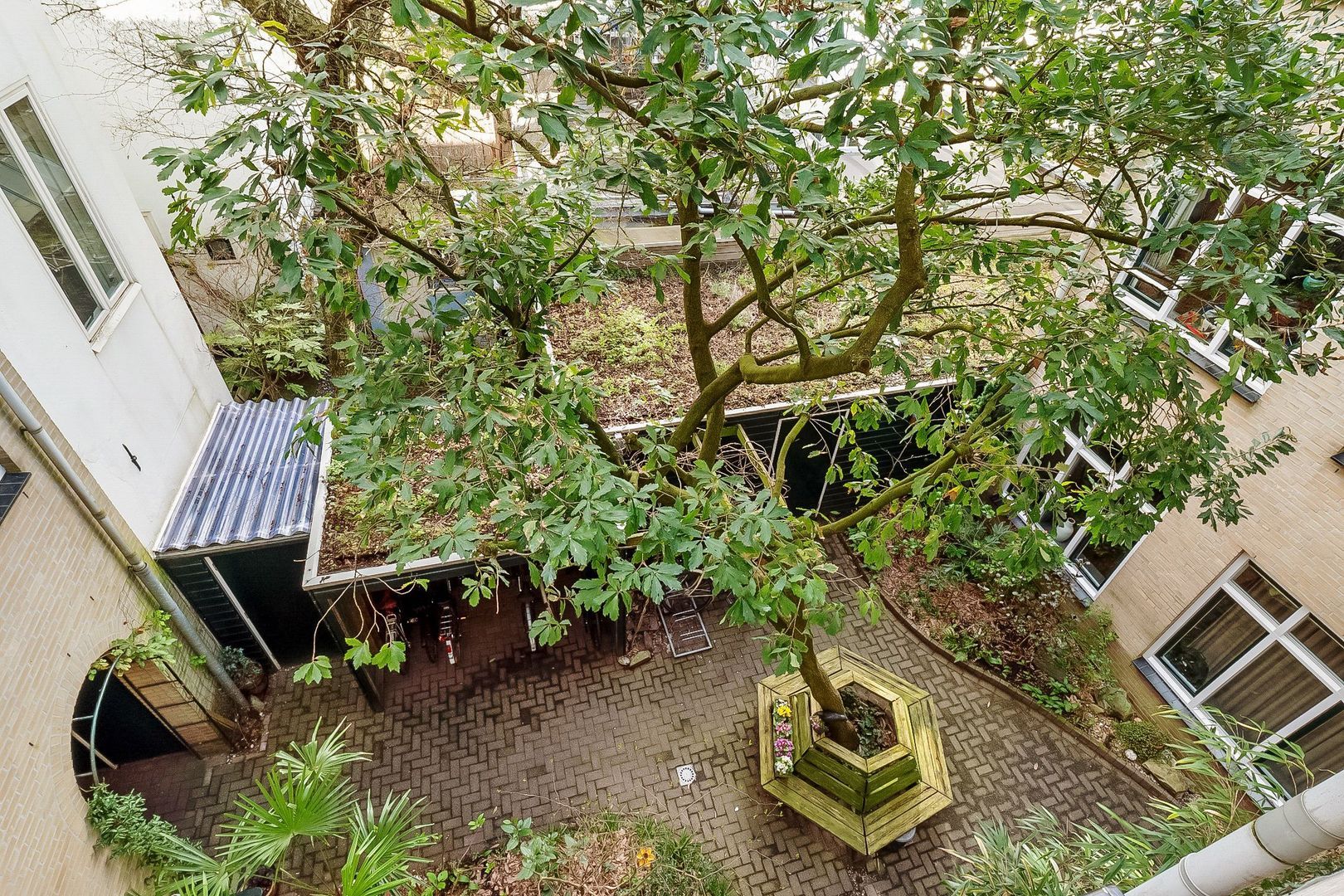 Eerste Boerhaavestraat 6 D, Amsterdam foto-10