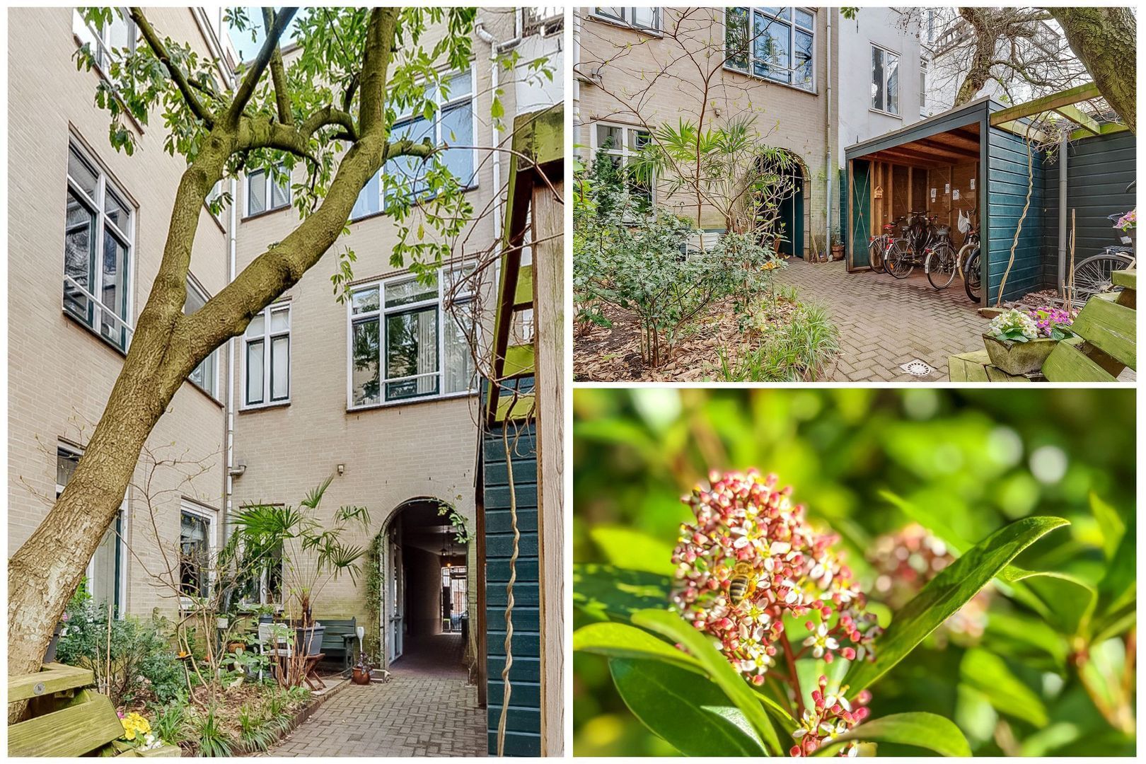 Eerste Boerhaavestraat 6 D, Amsterdam foto-8