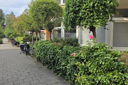Botticellistraat 31, Amsterdam