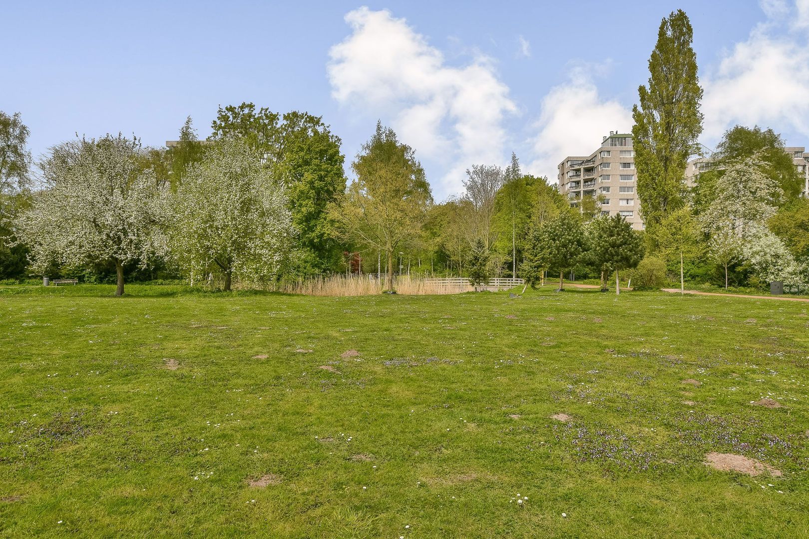Groenhoven 346, Amsterdam foto-17