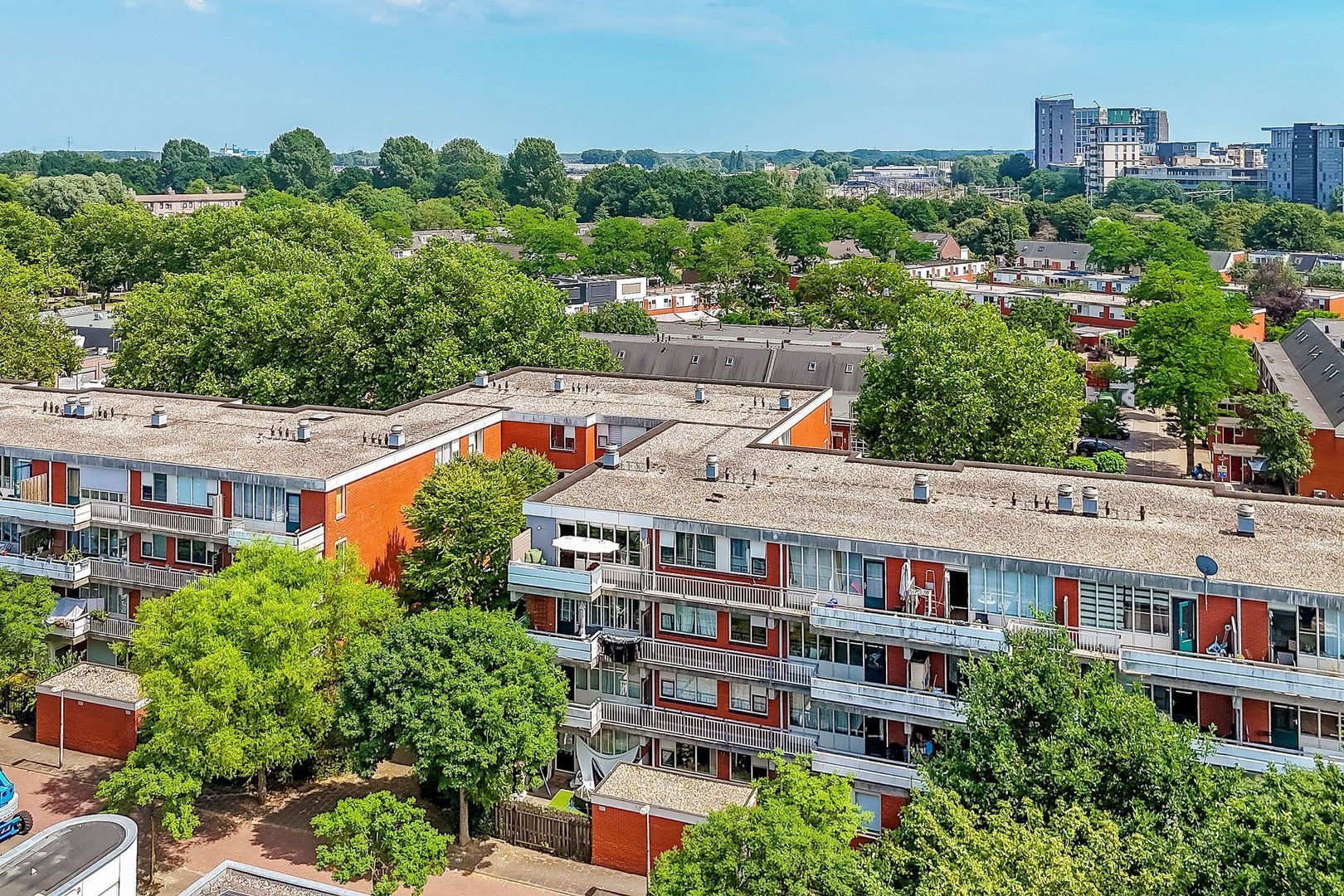 Vingerhoedskruid 24, Diemen foto-31