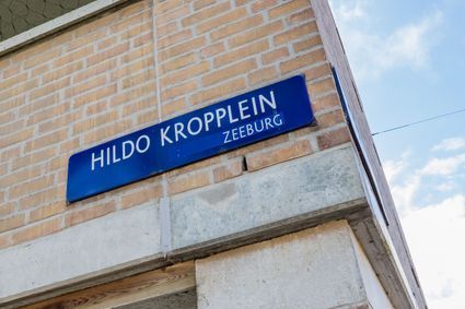 Hildo Kropplein 13, Amsterdam foto-6