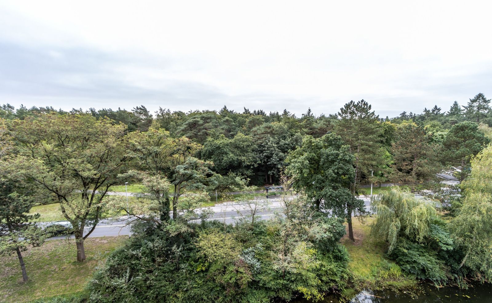 Laan van Vollenhove 2925, Zeist foto-24