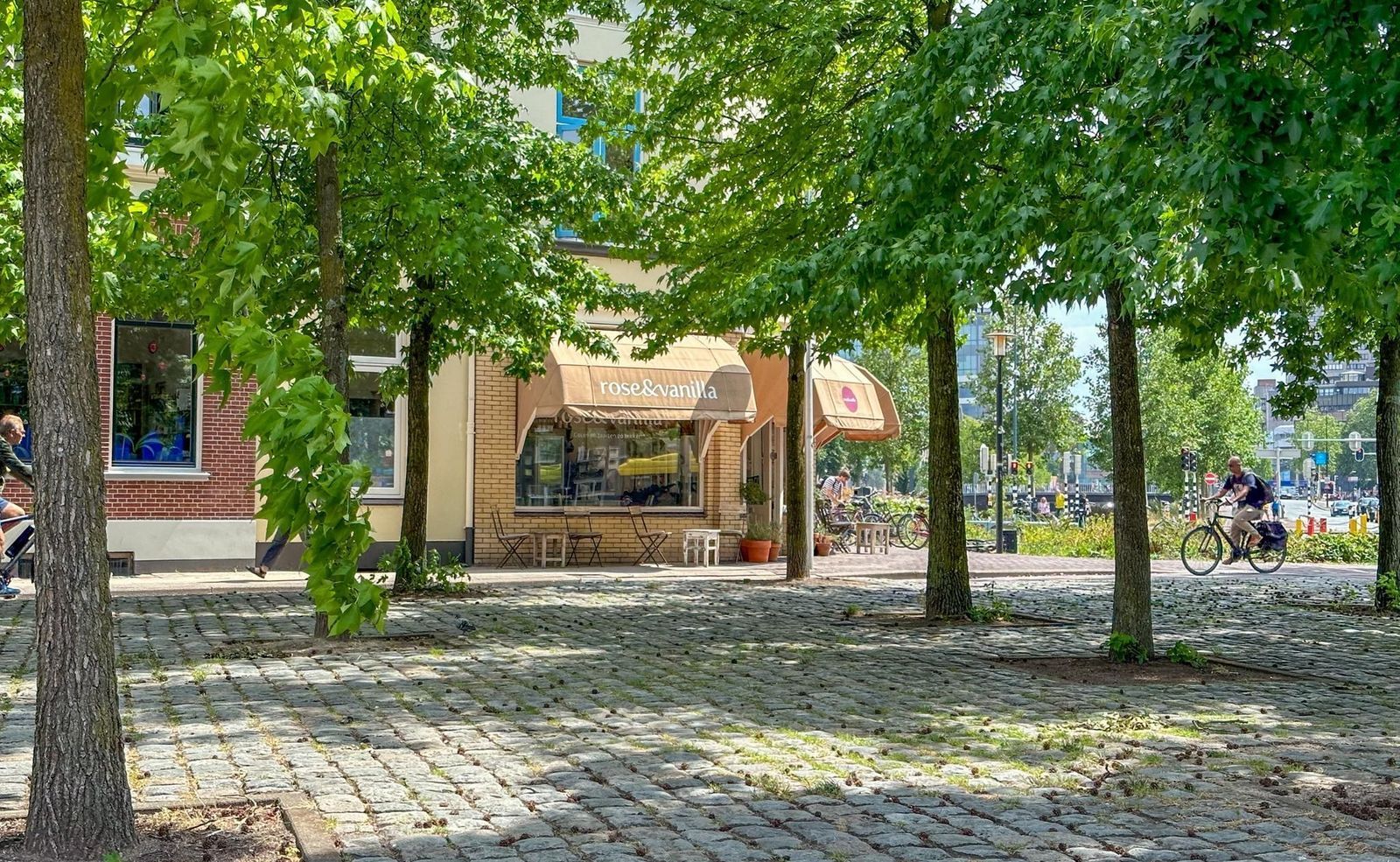 Jongeneelwerf 3, Utrecht foto-34