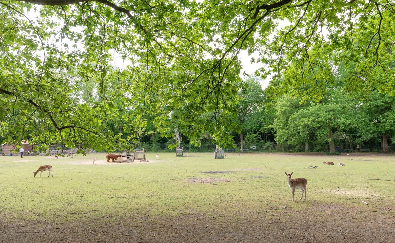 St.-Willibrordusstraat 3, Utrecht foto-30