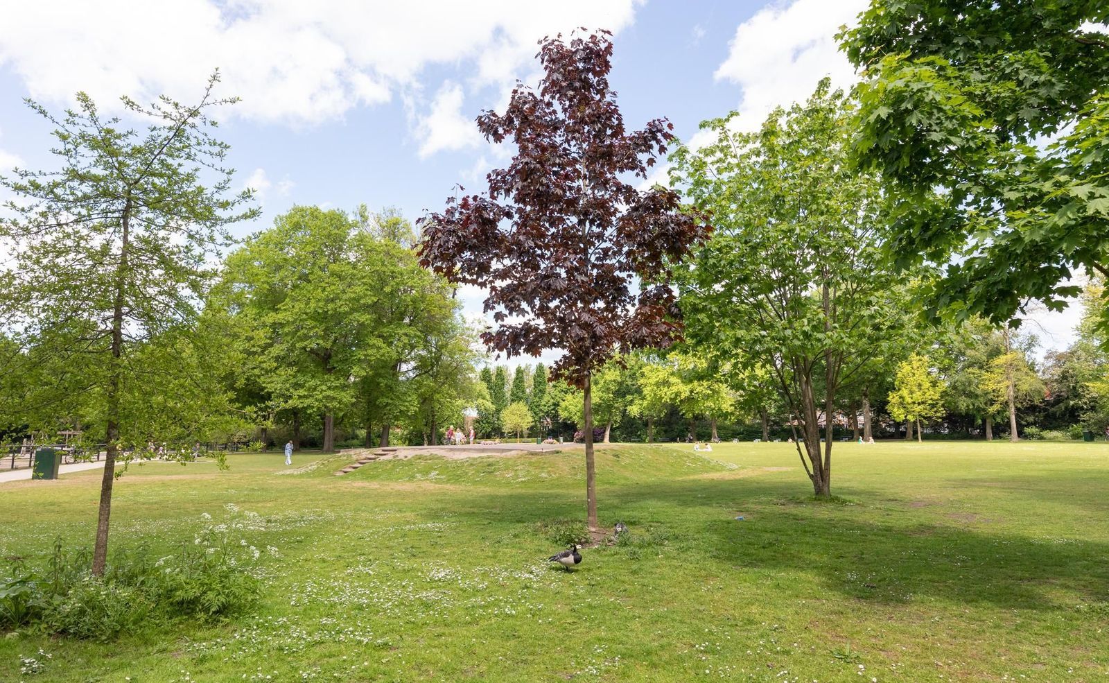 St.-Willibrordusstraat 3, Utrecht foto-31