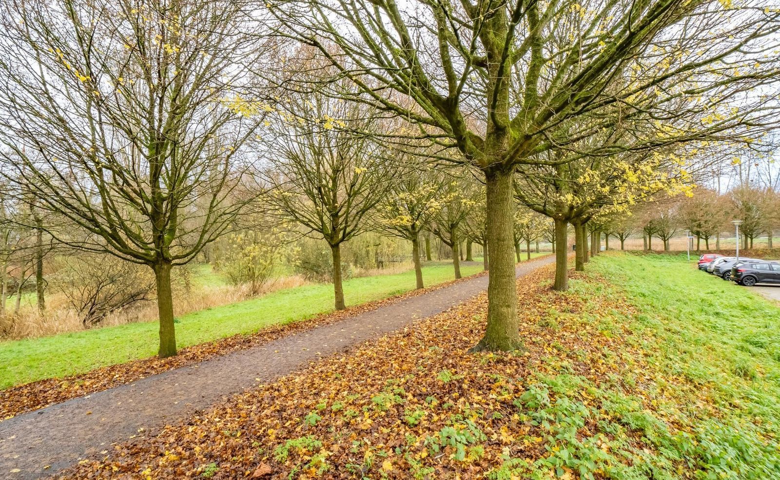 Seychellen 114, Utrecht foto-28