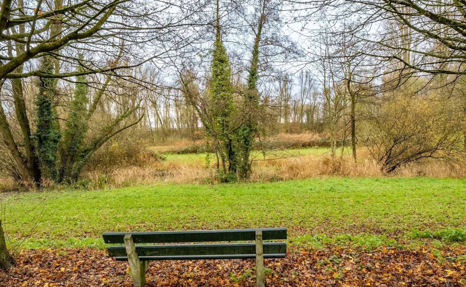 Seychellen 114, Utrecht foto-29