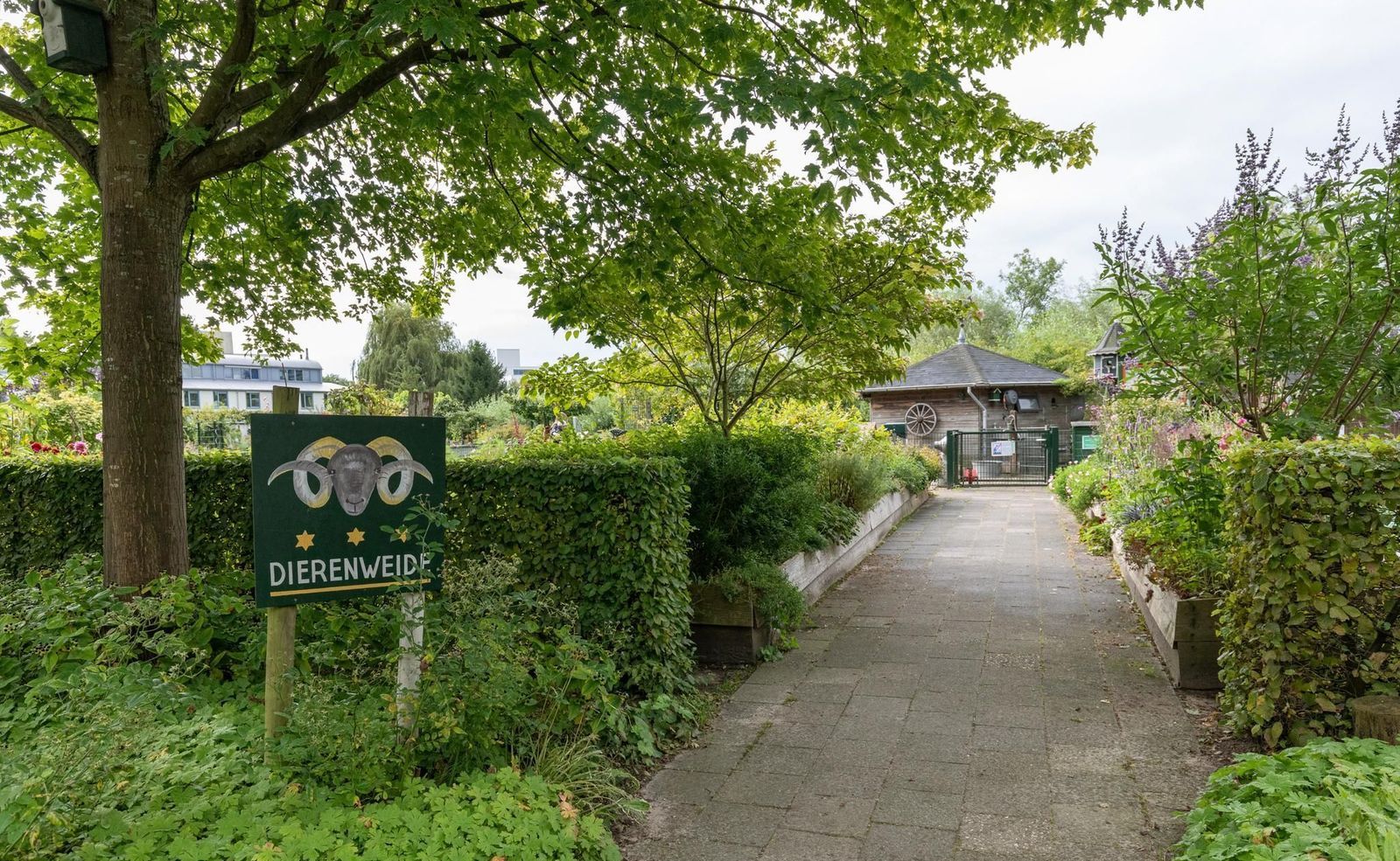 Aartsbisschop Romerostraat 503, Utrecht foto-37