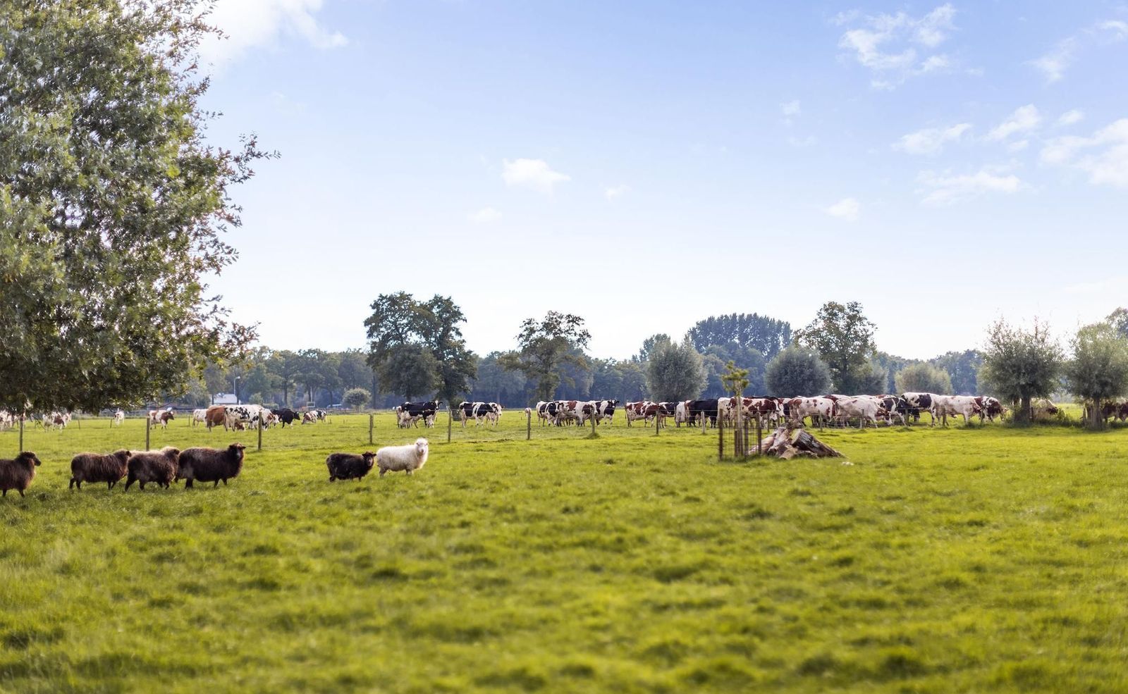 Brederietweg 3, Empe foto-53