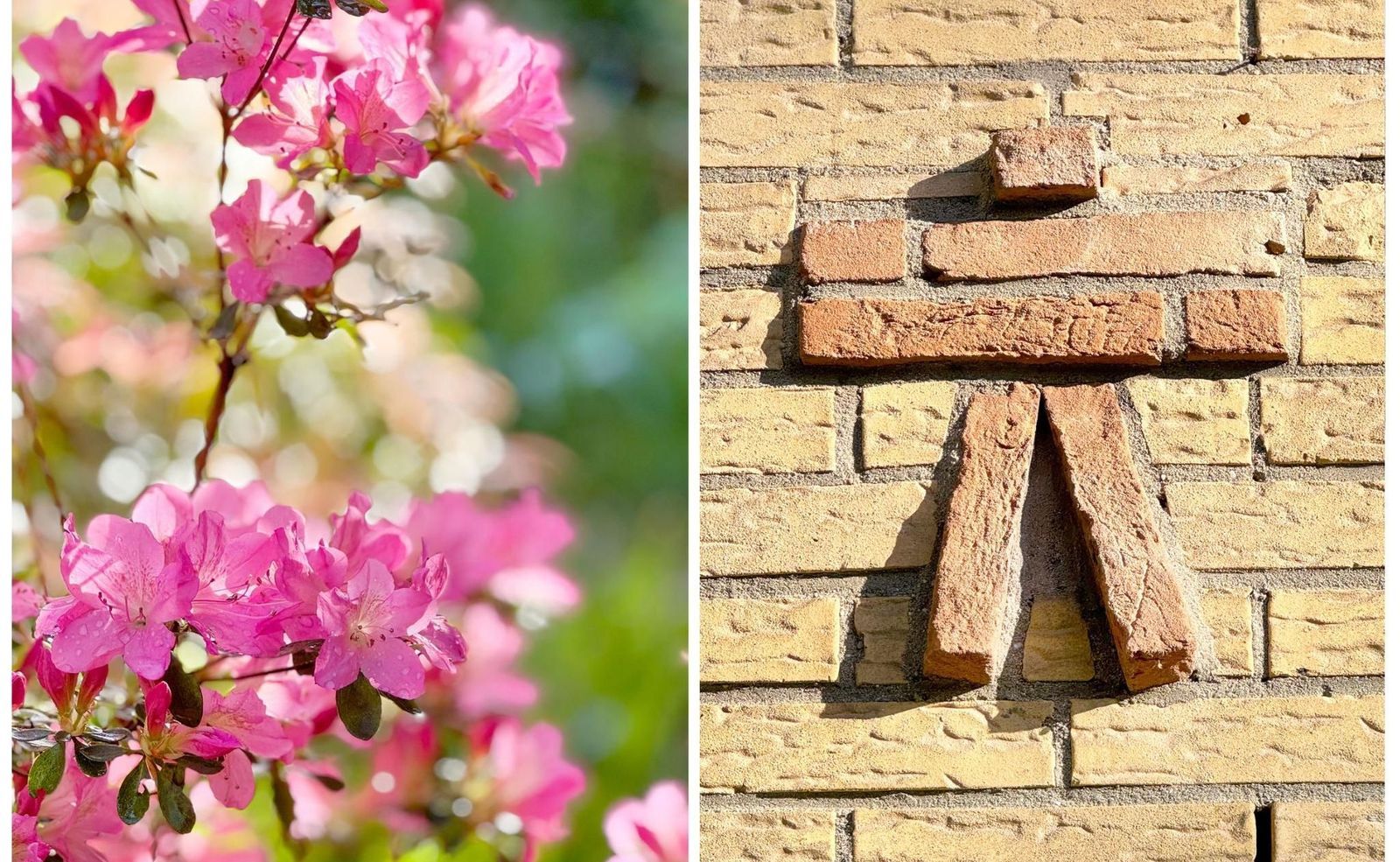 Bremlaan 24, Bosch En Duin foto-37