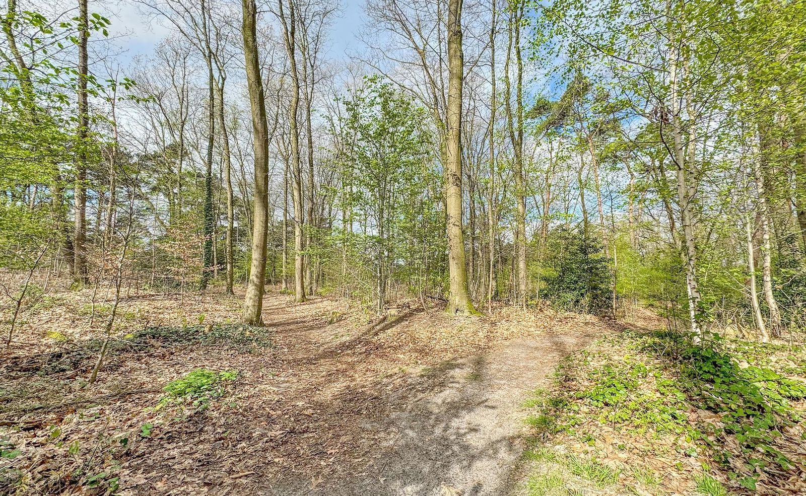 Bremlaan 24, Bosch En Duin foto-39