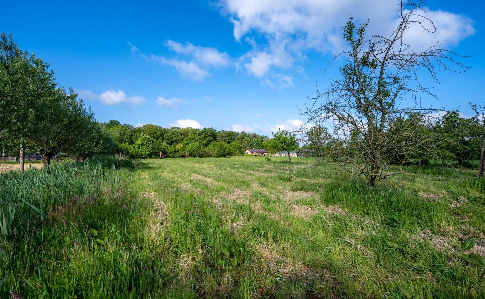 Langbroekerdijk 15 b kavel, Driebergen-Rijsenburg foto-7