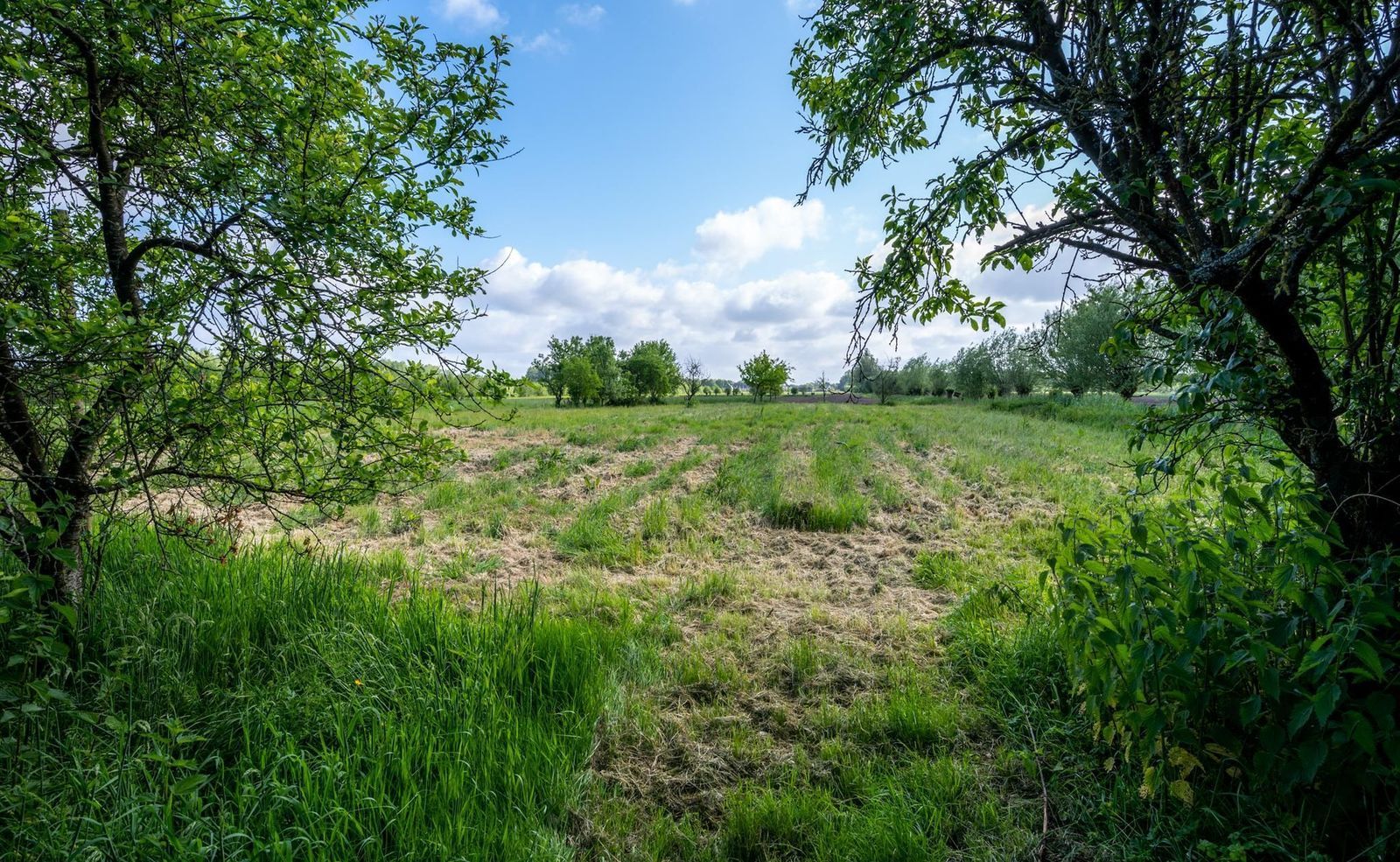 Langbroekerdijk 15 b kavel, Driebergen-Rijsenburg foto-4