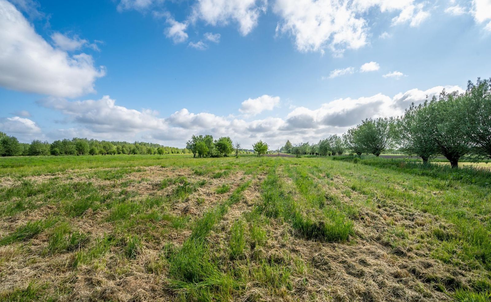 Langbroekerdijk 15 b kavel, Driebergen-Rijsenburg foto-5