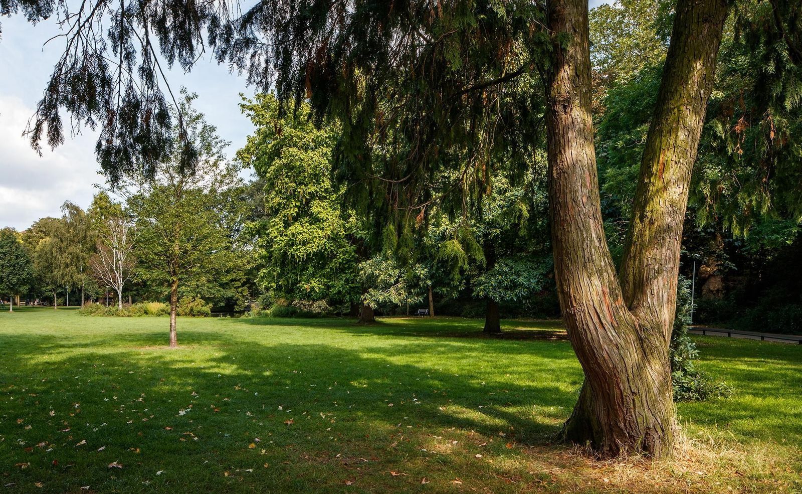 Mendelssohnstraat 88, Utrecht foto-32