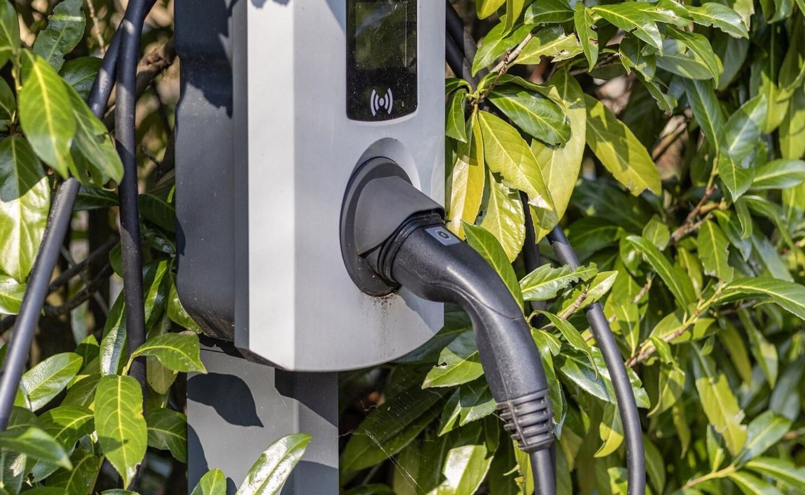 Buntlaan 11, Driebergen-Rijsenburg foto-43