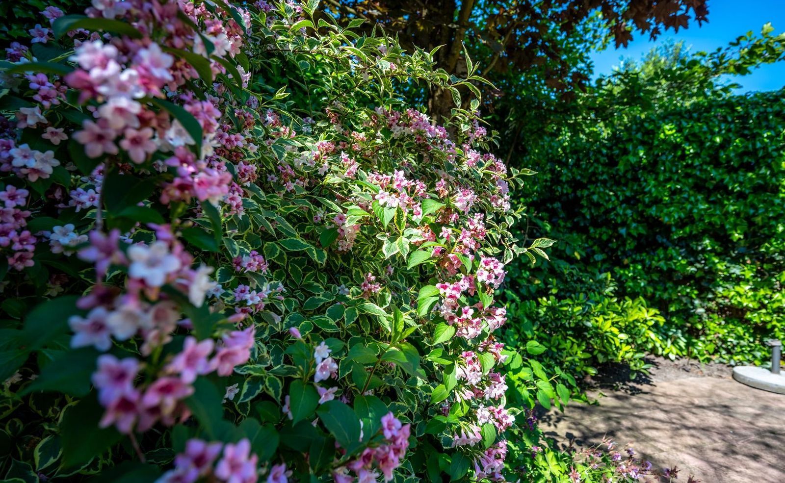 Oude Arnhemseweg 369, Zeist foto-22