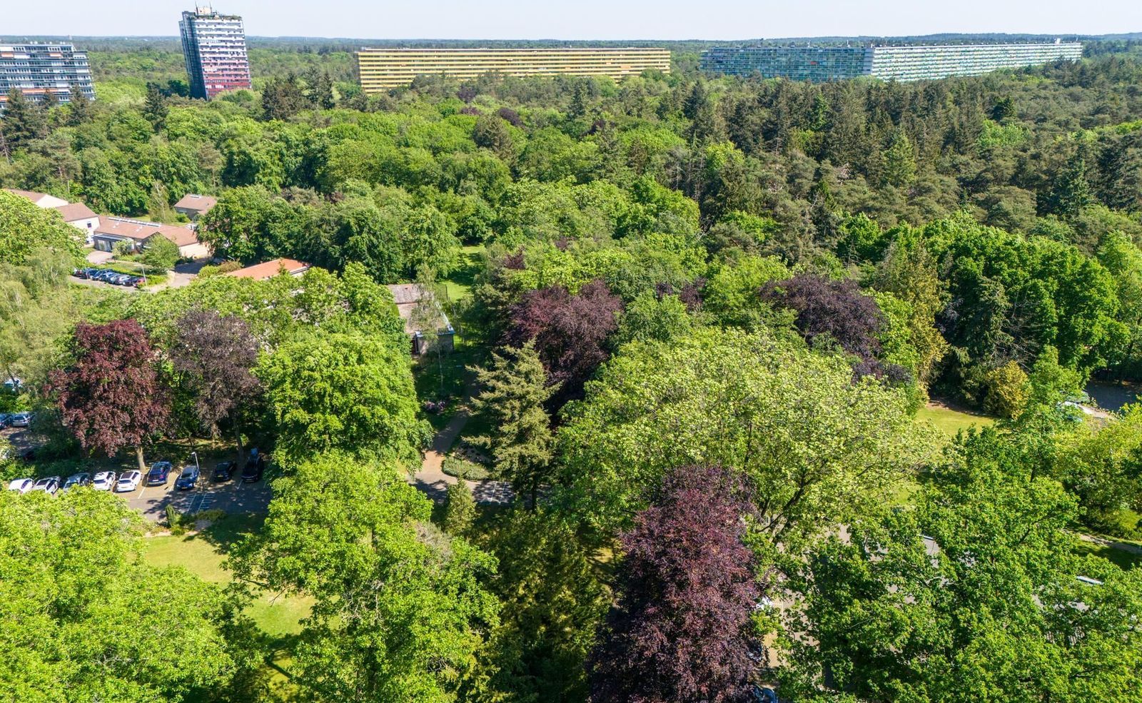 Oude Arnhemseweg 369, Zeist foto-56