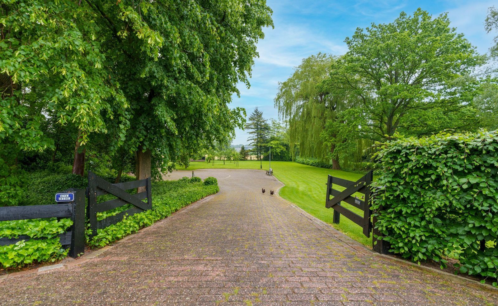 Appeldijk 5, Deil foto-41