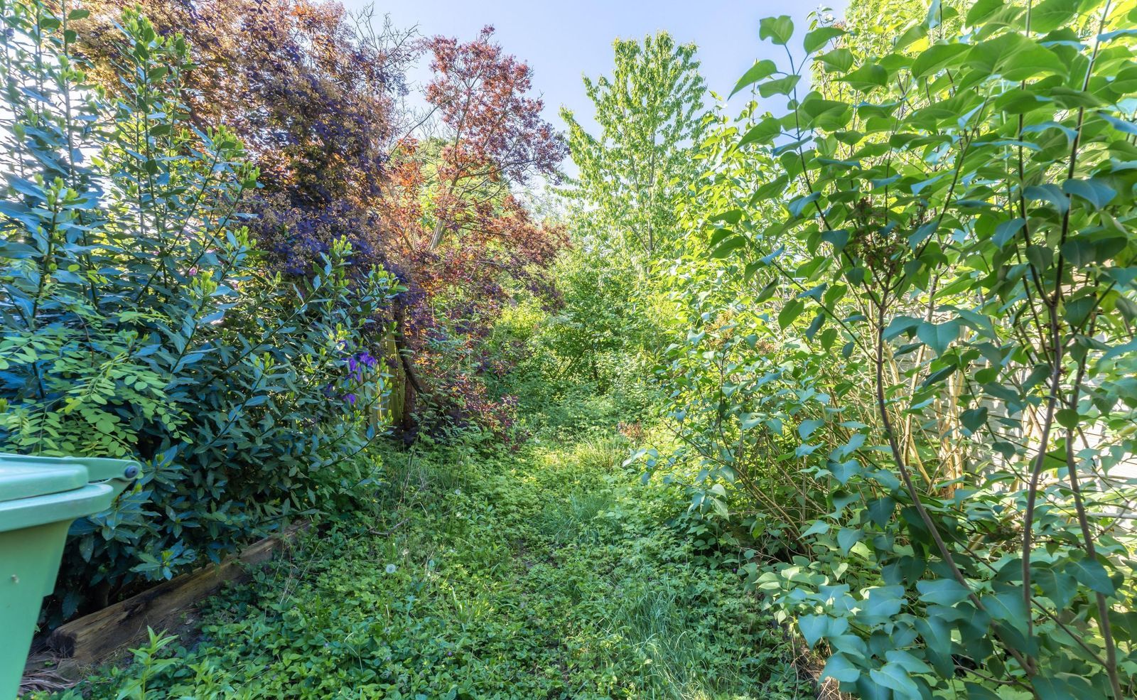 Boomkruiper 8, Nieuwegein foto-8