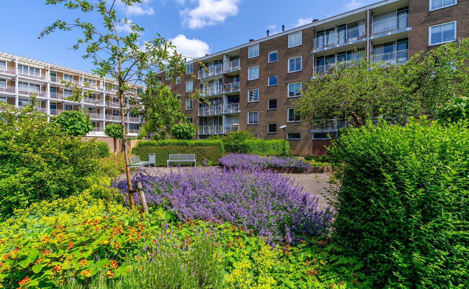 Van Eysingalaan 323, Utrecht foto-0