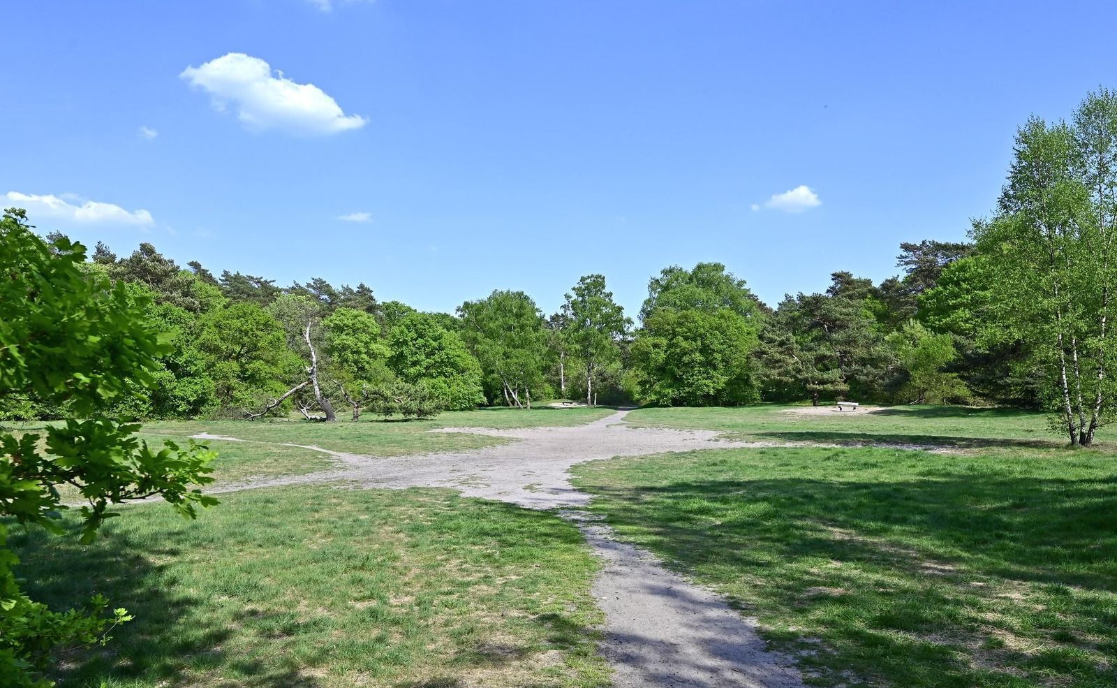 Kerckeboschlaan 35, Zeist foto-41