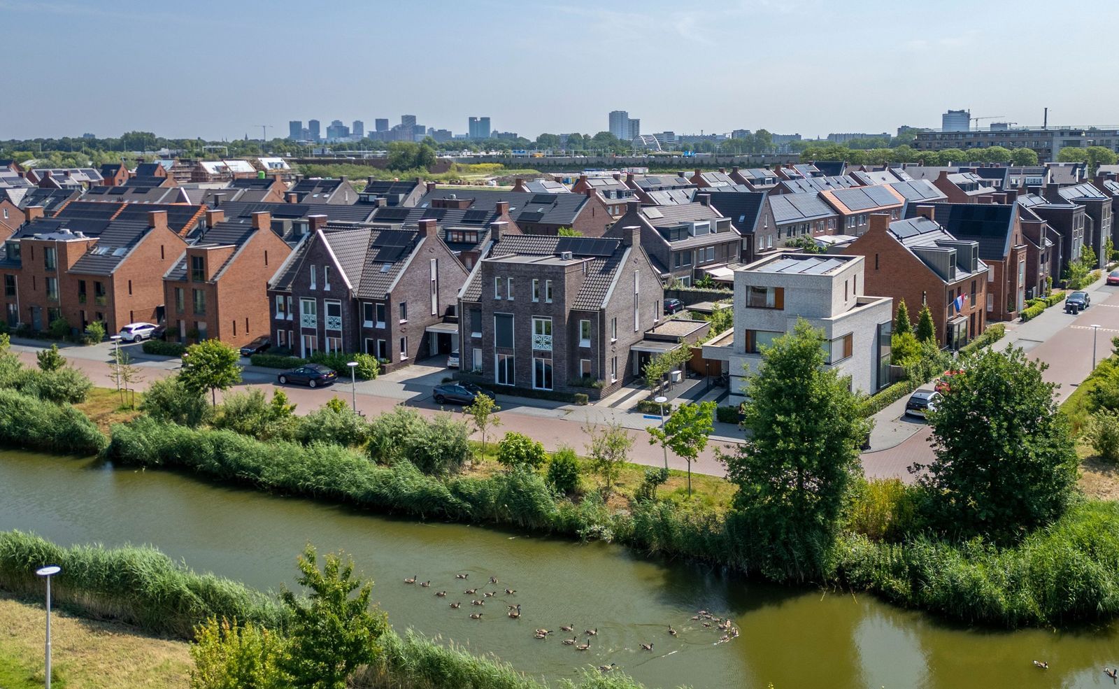 Wilde rijstvliet 100, Utrecht foto-0